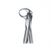 Extarcting Forceps